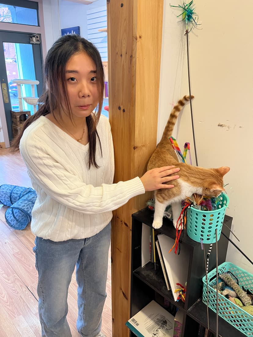 CAT CAFE
